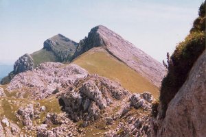 Mendebaldetik ikusita