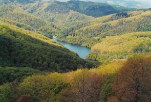 Artikutzako urtegia baso artean