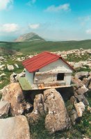 Inguruko tontor baten buzoia