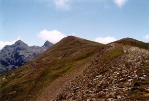 Tontorra mendebaldeko gandorretik
