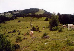 Asolaze aldeko igoera