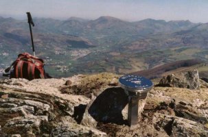 Abartan mendiko buzoia