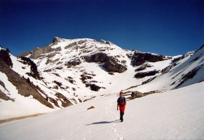 Aguerriko sakanaren ikuspegia