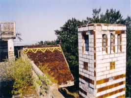 Teilatu-tximinia jauregiko