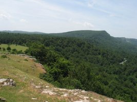 Ekialdeko isurialdea