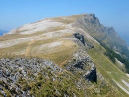 Ekialdeko gandorretik