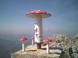 Buzoia (Gorostiaran)