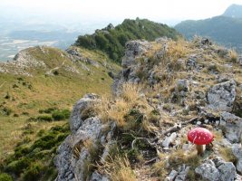 Tontorra eta Mko ikuspegia