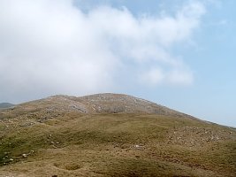 Alotzako larreak 2003. udako lehortean