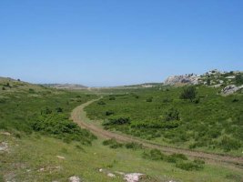 Melaniako portutik datorren bidea