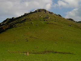 Mendaurreko E. aldeko gandorra