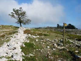 Bidearen marka gainaldean