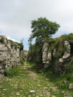 Urduña aldeko bidea goiko lepora heltzean