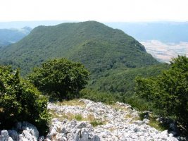 Allarteko tontorretik