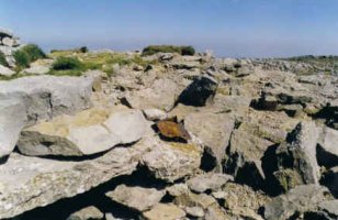 Buzoiaren hondakinak