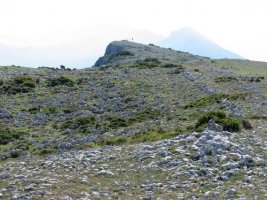 Tontorraren inguruak