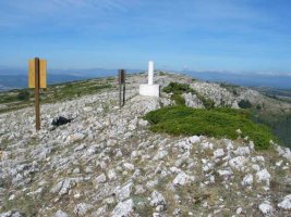 Tontorraren inguruak