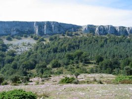 Iparraldeko isurialdea, hegaztien behatokitik