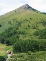 Lizarmeaka aldeko muinotik