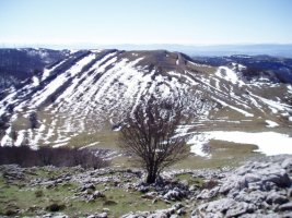 Arangurendik ikusita