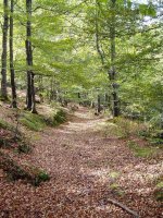 Urdalur urtegitik igotzen den bidea (GR 121.1 Gipuzkoako bira)