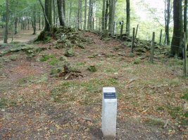 Argonitz trikuharria