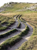 Batzuetan bideak itxura kuriosoa hartzen du