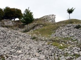 Azken metroak, Larunbe aldetik