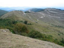 IEko tontorrak tontor nagusitik