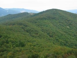 Mendurro Arriaunditik