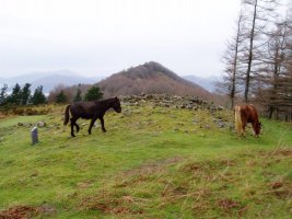 Naasiko Goena tumuloa eta Atxolin hego-ekialdetik ikusita