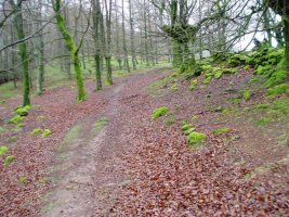 Kortazar-Irukurutzeta bidea Pagobedeinkatu inguruan