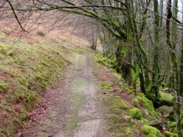 Kortazar-Irukurutzeta bidea Atxolin inguruan