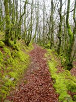 Kortazar-Irukurutzeta bidea Atxolin inguruan