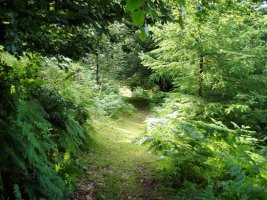 Atxolin IEtik inguratzen duen bidea