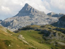 Arlas ondotik ikusita