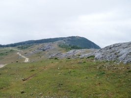 Mendizelaitik (ekialdetik) ikusita