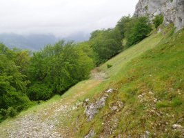 Lizarragako portuko bidea