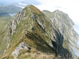 Mendebaldeko tontorra