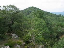 Ekialdeko gandorretik ikusita, tontorra basoaren mendean