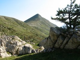 Kartxelako ohiko igoeratik ikusita