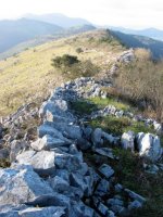 Mendebaldeko gandorra