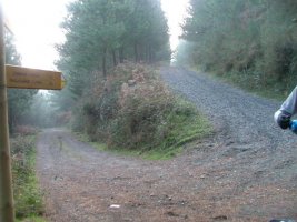 CARTEL A SEGUIR DURANTE EL RECORRIDO