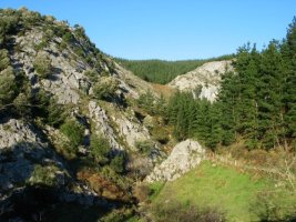 Baltzolako bailararen sarrera Indusi aldetik