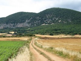 Kanpezurako errepidetik