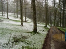 Trekutz eta Gorla arteko bidea