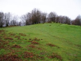 Kurutzebakar: tontorra eta inguruko larreak