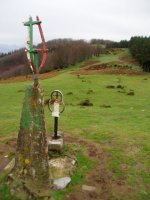 Tontorra: hiru gurutzeak eta buzoia