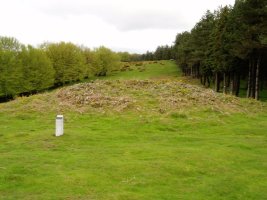 Irukurutzetako trikuharria