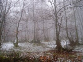 Txara mendebaldeko magalean, Elosuko Benta eta Pol-pol iturriaren arteko bidean